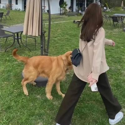 职业替身